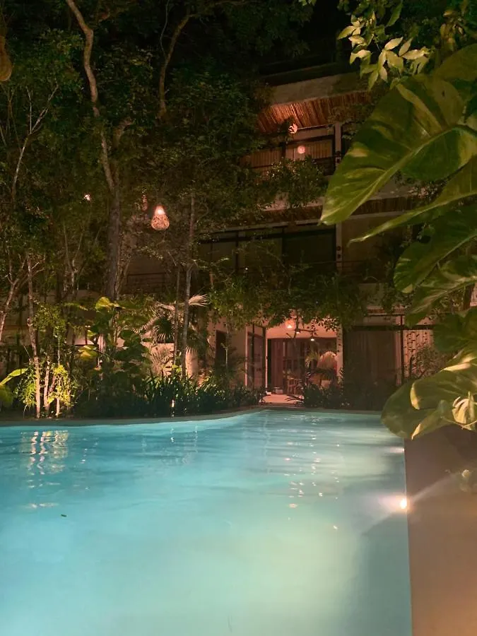 Jungle View 2Bed 2Bath Condo/ Wi-Fi/ Pool/ Gym Tulum 0*,  Mexico