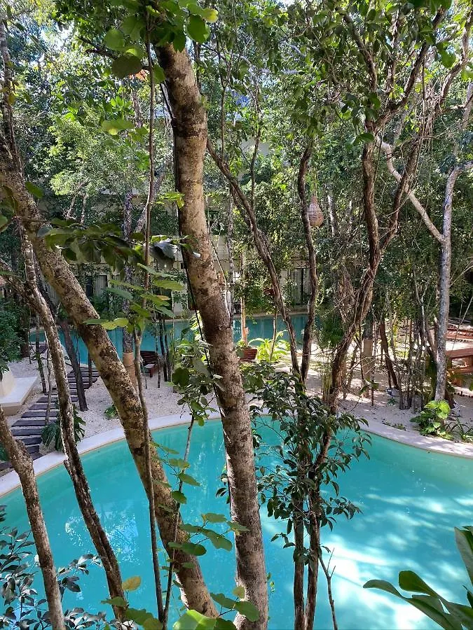 Jungle View 2Bed 2Bath Condo/ Wi-Fi/ Pool/ Gym Tulum 0*,