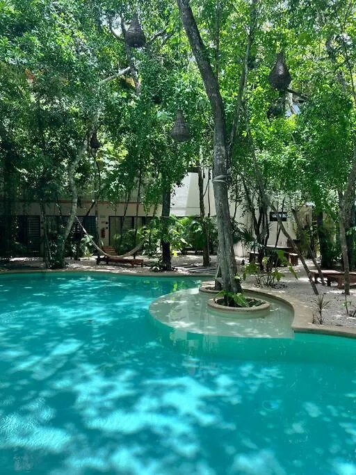 Jungle View 2Bed 2Bath Condo/ Wi-Fi/ Pool/ Gym Tulum