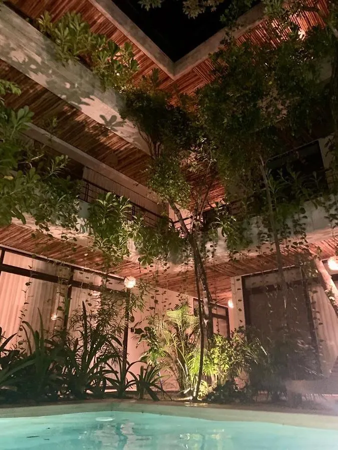 Lägenhet Jungle View 2Bed 2Bath Condo/ Wi-Fi/ Pool/ Gym Tulum