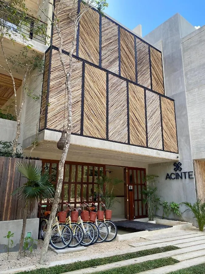 Jungle View 2Bed 2Bath Condo/ Wi-Fi/ Pool/ Gym Tulum Lägenhet