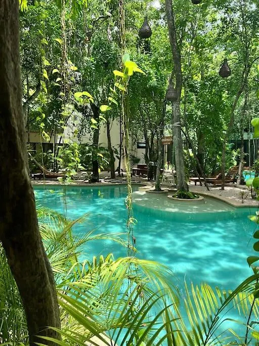 Lägenhet Jungle View 2Bed 2Bath Condo/ Wi-Fi/ Pool/ Gym Tulum Mexiko